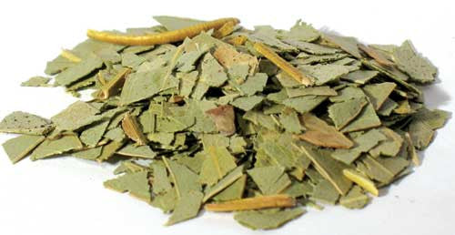 1 Lb Eucalyptus Cut                                         