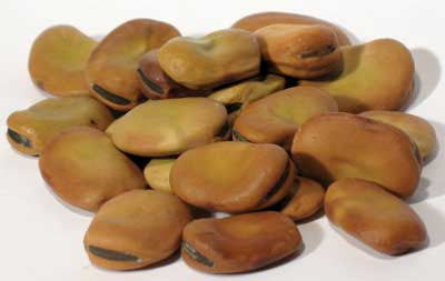 1 Lb Mojo Wish Beans                                        