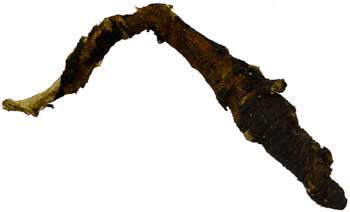 Osha Root wh 2oz