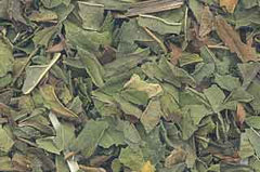 1 Lb Peppermint Leaf Cut                                    