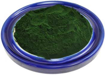 1 Lb Spirulina Powder                                          