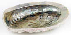 Midea Shell burner                                          