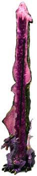 Purple Dragon holder                                        